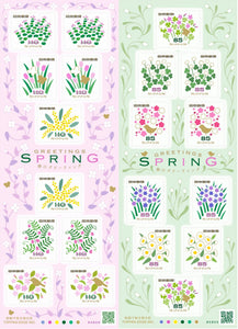 JP2025-04 Japan Spring Greetings