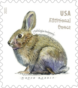 US #5544 US New Issue 2021 Brush Rabbit Forever Stamp